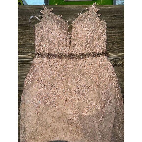 Mac Duggal A79341 Appliqué Sleeveless Plunge Neck Trumpet Blush Gown. Size 2. 17 - Picture 4 of 15